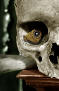 skull-with-butterfly-eye
